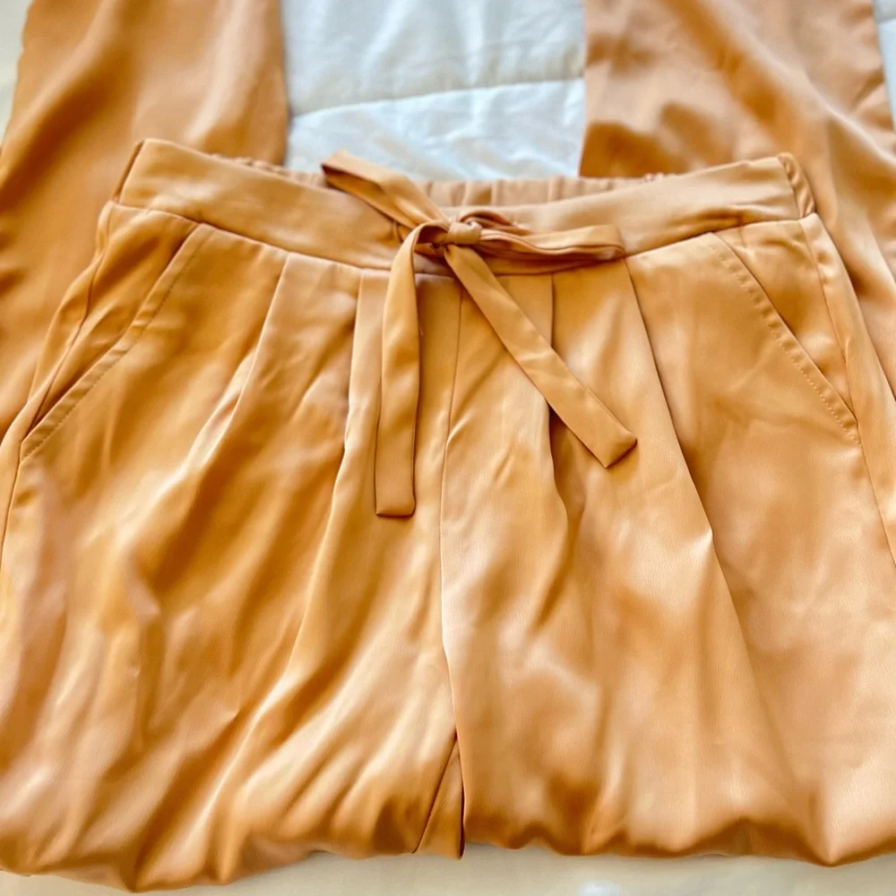 SILK JOGGER - Picture 3 of 11
